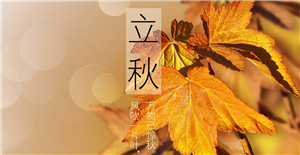 【立秋】來臨，卅亞和您共同迎接秋天的到來